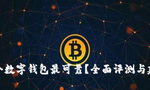 哪个数字钱包最可靠?全面评测与建议