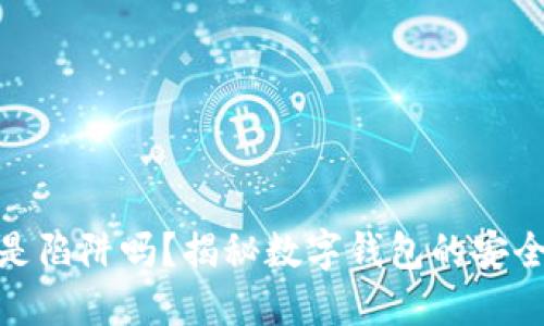 数字钱包是陷阱吗?揭秘数字钱包的安全性与风险