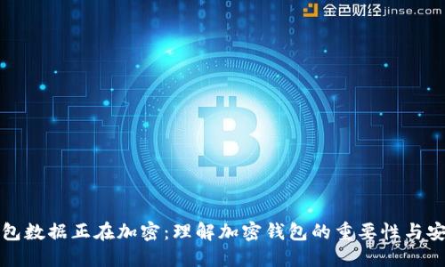 盛钱包数据正在加密：理解加密钱包的重要性与安全性