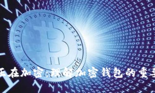 盛钱包数据正在加密：理解加密钱包的重要性与安全性