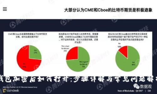 钱包加密后如何打开:步骤详解与常见问题解析