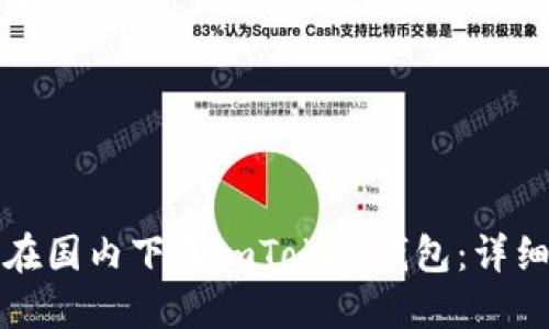 如何在国内下载imToken钱包:详细指南