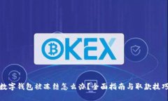 数字钱包被冻结怎么办？全面指南与取