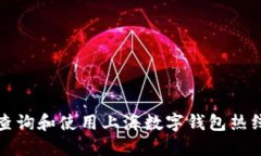 如何查询和使用上海数字钱包热线电话
