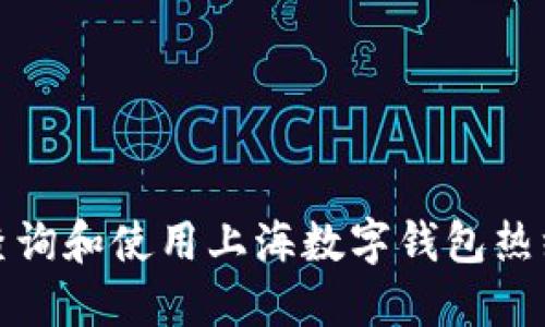 如何查询和使用上海数字钱包热线电话
