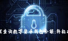 如何查询数字货币钱包余额：终极指南