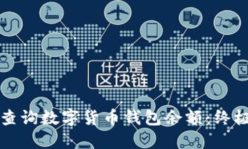 如何查询数字货币钱包余额:终极指南
