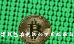 : 数字钱包在武汉的使用现状与前景