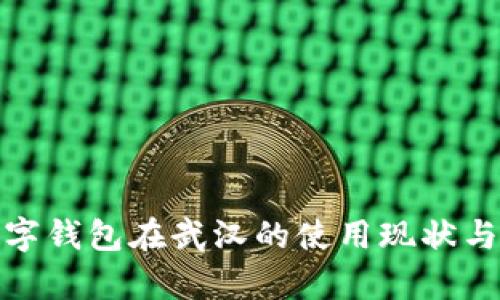: 数字钱包在武汉的使用现状与前景