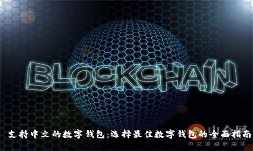 支持中文的数字钱包:选择最佳数字钱包的全面指南