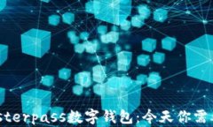 全面解析Masterpass数字钱包：今天你需要知道的一