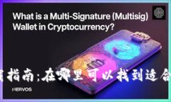 数字钱包下载指南：在哪里可以找到适合的数字