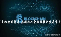 数字人民币VIP钱包 是一个新兴的金融