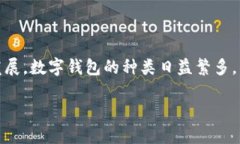 数字钱包分类的意义不仅体现在方便用