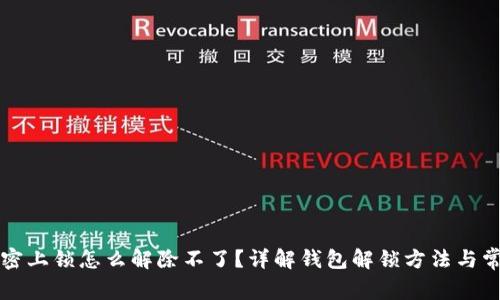 钱包加密上锁怎么解除不了?详解钱包解锁方法与常见问题