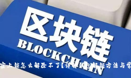 钱包加密上锁怎么解除不了?详解钱包解锁方法与常见问题