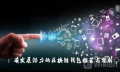 : 有发展潜力的区块链钱包推荐与分析