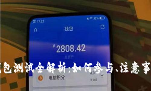 深圳市数字钱包测试全解析:如何参与、注意事项及未来展望