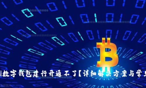 ziaoti数字钱包建行开通不了?详细解决方案与常见问题