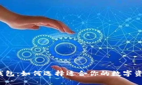 数字货币钱包:如何选择适合你的数字资产管理工具
