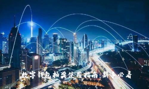 数字钱包抽奖使用指南:新手必看