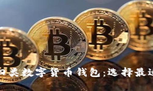 : 全面解析四类数字货币钱包：选择最适合你的类型