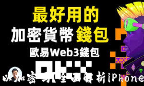 iPhone钱包可以加密吗?全面解析iPhone钱包的安全性