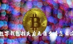  数字钱包挂失后无法查看怎么办？
