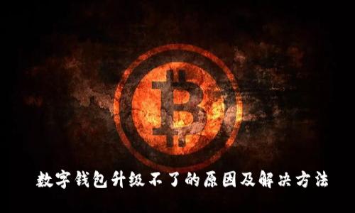 数字钱包升级不了的原因及解决方法