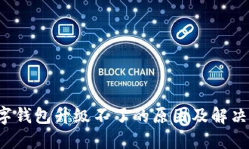 数字钱包升级不了的原因及解决方法