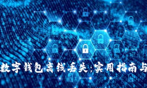 如何防止数字钱包离线丢失：实用指南与解决方案