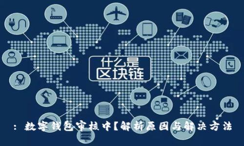 : 数字钱包审核中？解析原因与解决方法