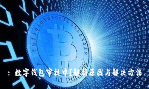 : 数字钱包审核中？解析原因与解决方法