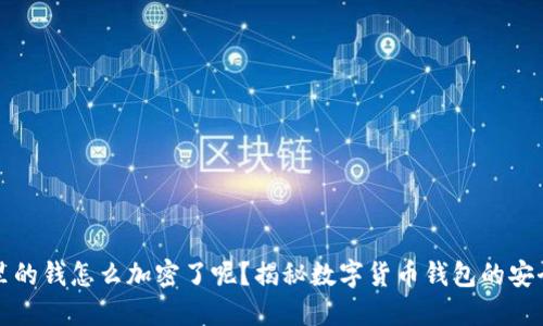 钱包里的钱怎么加密了呢?揭秘数字货币钱包的安全机制