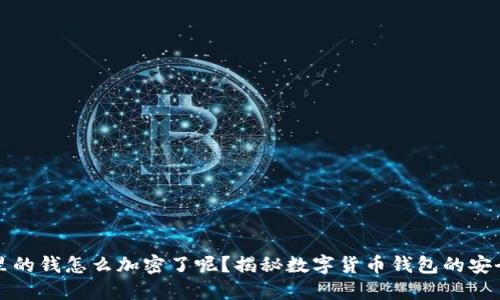 钱包里的钱怎么加密了呢?揭秘数字货币钱包的安全机制