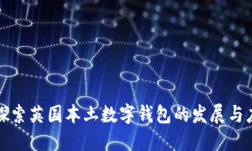 : 探索英国本土数字钱包的发展与应用