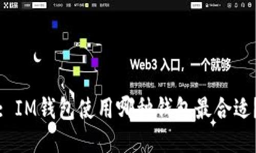 : IM钱包使用哪种钱包最合适?