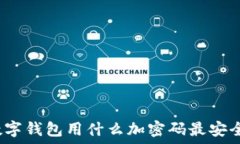  数字钱包用什么加密码最安全？