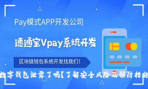 数字钱包泄露了吗?了解安全风险及预防措施