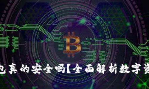 数字货币钱包真的安全吗?全面解析数字资产的安全性