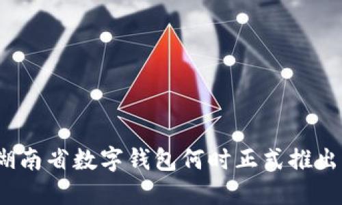 湖南省数字钱包何时正式推出？