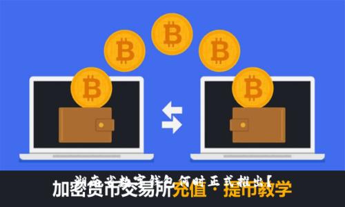 湖南省数字钱包何时正式推出？