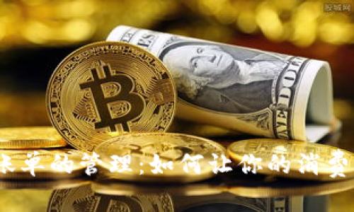 数字钱包账单的管理：如何让你的消费一目了然？