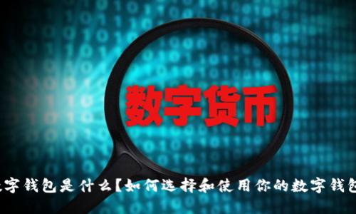 数字钱包是什么?如何选择和使用你的数字钱包?