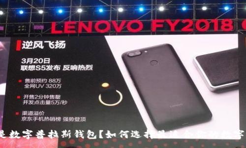 :
什么是数字普拉斯钱包？如何选择最适合你的数字钱包？