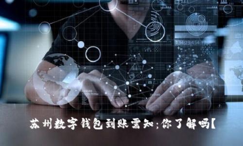 苏州数字钱包到账需知：你了解吗？