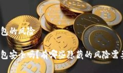 数字钱包的风险数字钱包安全吗？有哪些隐藏的