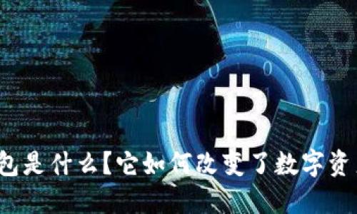 开放区块链钱包是什么?它如何改变了数字资产管理的未来?