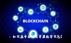 : 如何在中国下载苹果数字钱包？