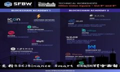 imToken是否支持BSC（Binance Smart Chain）？全面解析与